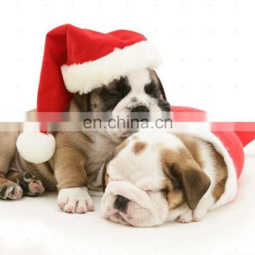 Dog with christmas hat plush dancing santa hat christmas gift
