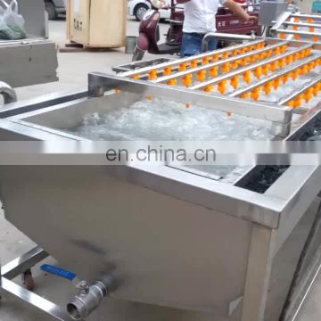 bubble vegetable washing machine  stainless steel bubble washing machine tomato bubble washing machine