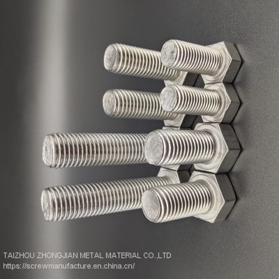 Stainless Steel Hex Bolt M8*20
