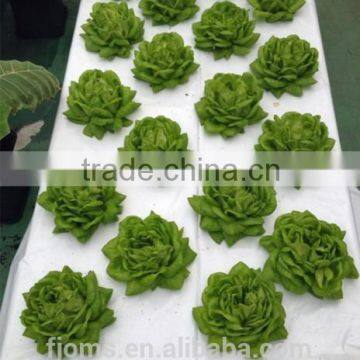 Biodegradable plastic black white film for hydroponic system