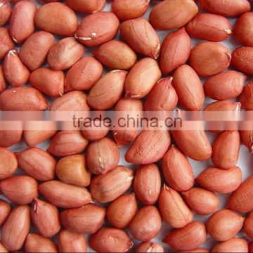 Chinese peanut kernels in bulk