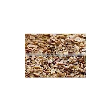 Dill seed oil for sales