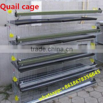 Poultry equipment Bird cages stainless steel quail cage for sale