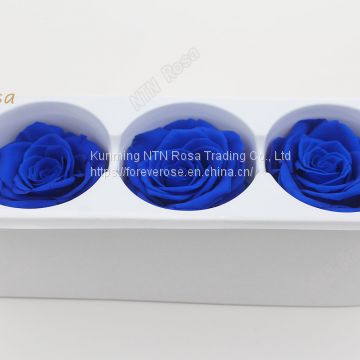 Romantic Artificial Flower Luxurious Flower Red Rose Preserved Roses for Wedding Decoration