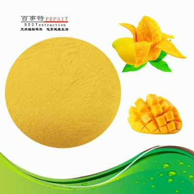 Natural Mango Powder For Health Nutrition Products, Baby Food And Solid Drinks