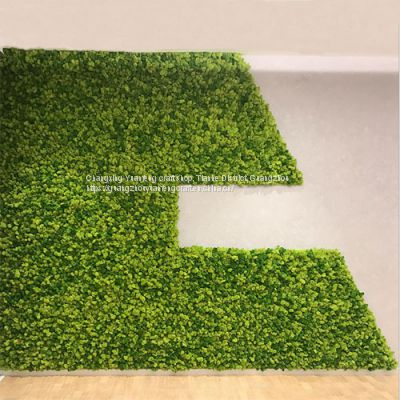 High quality immortal live moss panels wall 100% natural preserved plants