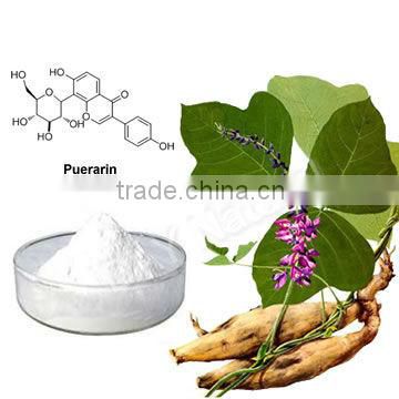 Kudzu Root Extract/ Herbal Medicine/ Pueraria Extract