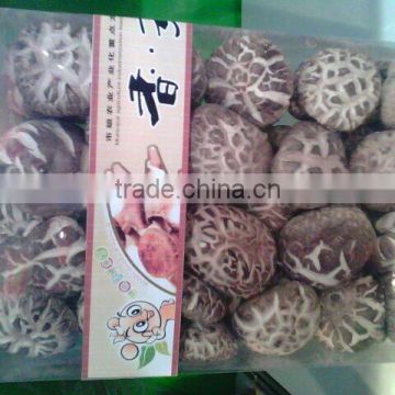 dried mushroom,flower mushroom,dried brown and white flower mushroom
