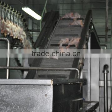 bird slaughter plant for broilers