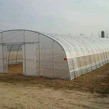 Tunnel PO/PE Film Covering Agriculture Greenhouse