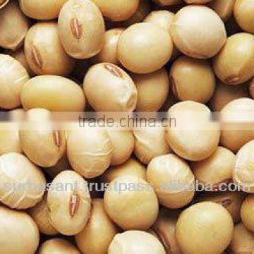 Soybean Organic Non Gmo