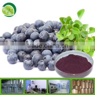 High quality Bilberry fruit powder