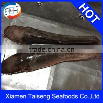 Frozen Catfish Exporters With Lowest Price