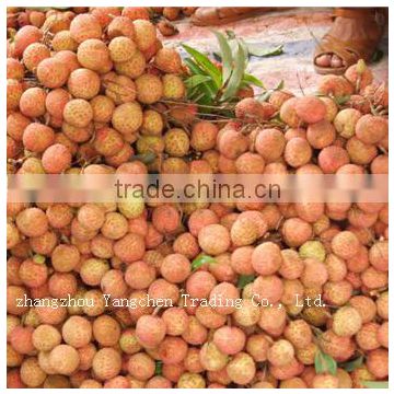 2014 Newest Crop Chinese Canned Litchi Processing