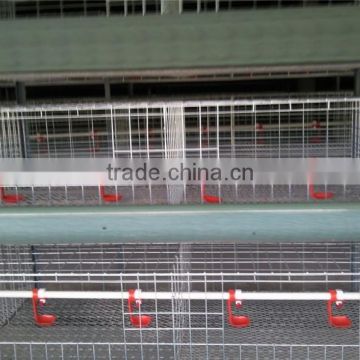 poultry layer cage for sale