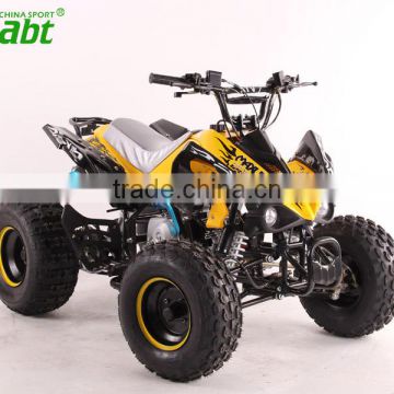 110cc/125cc atv quad bike with 8 inches tire go kart utv 4 wheel motorcycle
