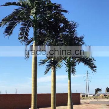 Artificial royal coconut palm tree producer