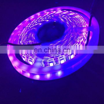 5M SMD 5050 UV Ultra Waterproof Purple 300 LED Flex Strip Light Money Detect