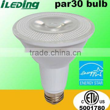 Spot Light Bulb LED par30