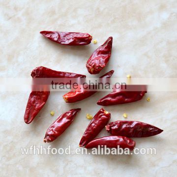 Tianying small Chilli