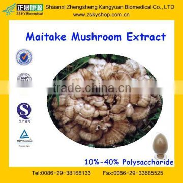 Top Quality Maitake Extract with 40% Polysaccharide from GMP Factory