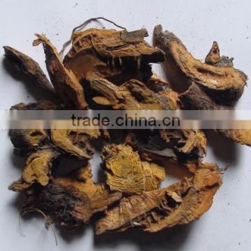 polygonum cuspidatum extract polydatin 99% manufacture ISO, GMP, HACCP, KOSHER, HALAL certificated
