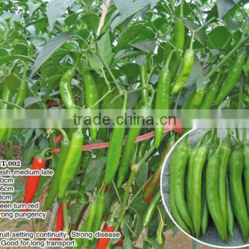Green Line Hot Pepper Seed For Sale FST 002