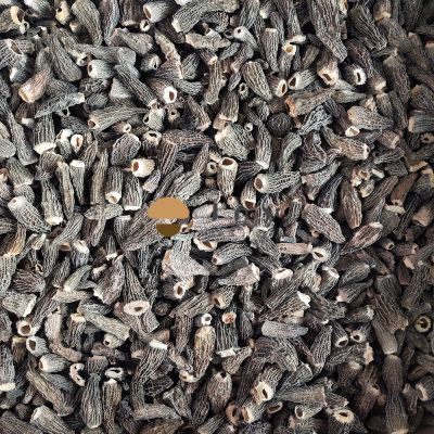 Dehydrated Dried Morel Mushroom Morchella Esculenta Conica