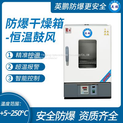 Guangzhou Yingpeng explosion-proof constant temperature blast drying oven 130 liters
