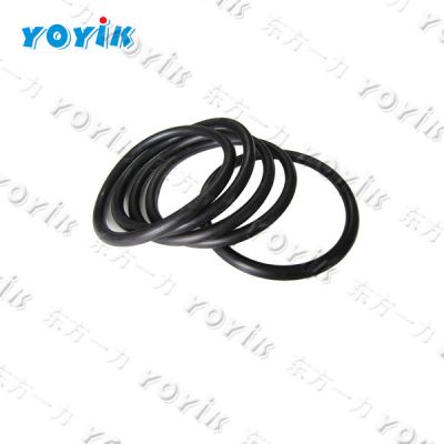 Made in China O-ring DTYD30UZ018 for thermal power plant
