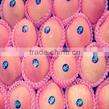 Plastic Wrapping Net For Fruit Like Apples