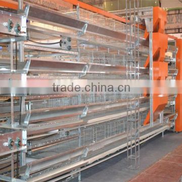 Popular full automatic galvanized layer chicken cage with attached equipments