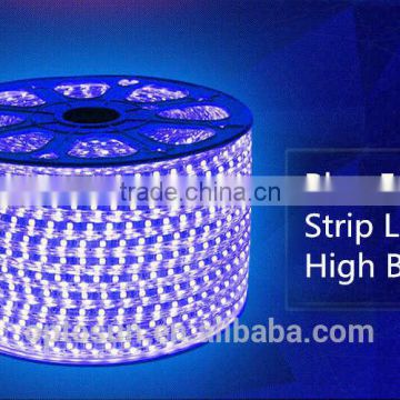 Underwater LED Rope Light 110-220V Flexible LED Strip Light