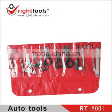 Right tools 20PC Radio Removal Tool set