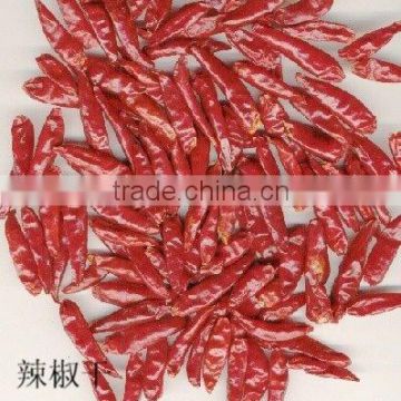 Tianying dried Chilli