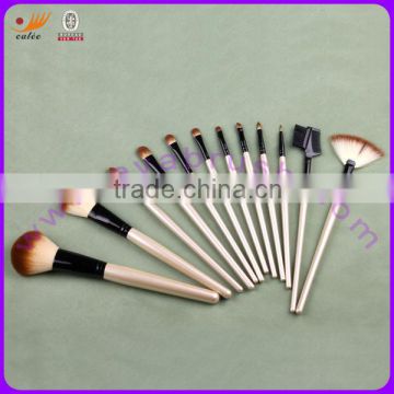 Professional Makeup Artist Brush Set(EYP-MG012)