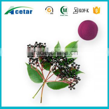Fast delivery Offering high quality elderflower extract powder