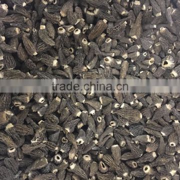 dried cultivated morels