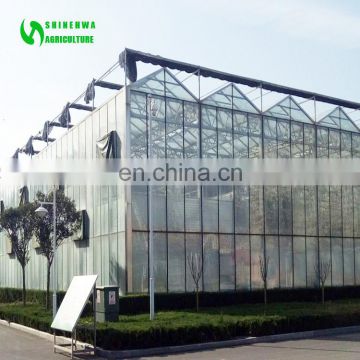 Commercial Agricultural Glass Greenhouse Price In China