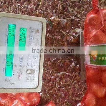 2015 Chinese fresh yellow onion price