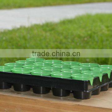 garden plastic propagator seeding tray