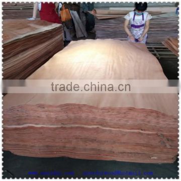 Linyi campnosperma Rengas face veneer factory direct supplier FSC face wood veneer chipper