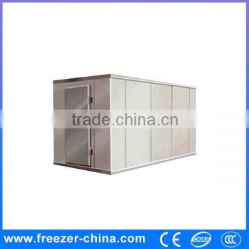 Hot Selling! R404A small cooling Freezer cold storage room