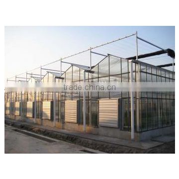 Multi span mushroom greenhouse for agriculture structure