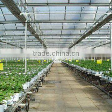 Nutrient film hydroponics system greenhouse