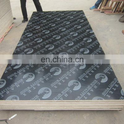 Black film faced plywood 1220*2440*16mm export to dubai from chengxin wood factory