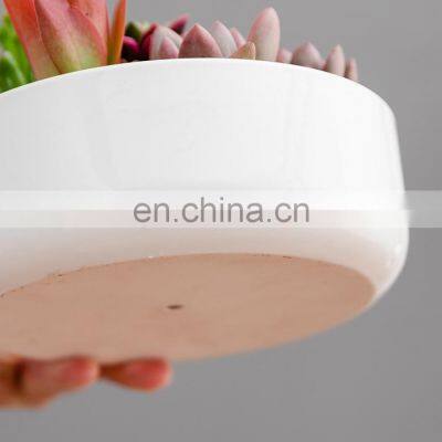 Factory Simple Rounded Square Mini Fleshy Flower Big Succulent Planter Plant Pot Ceramic Indoor Drawing