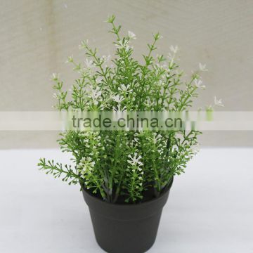 Wholeselling Artificial Plastic Grass with Plastic Pot for Sale