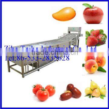 Automatical Fruit and Vegetable Brush Washing Machine