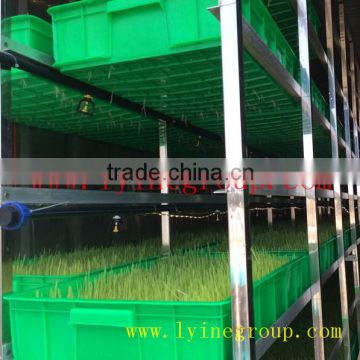 china supplier savory sprouting machine/green fodder making machine/Hygenic Green Fodder Machine